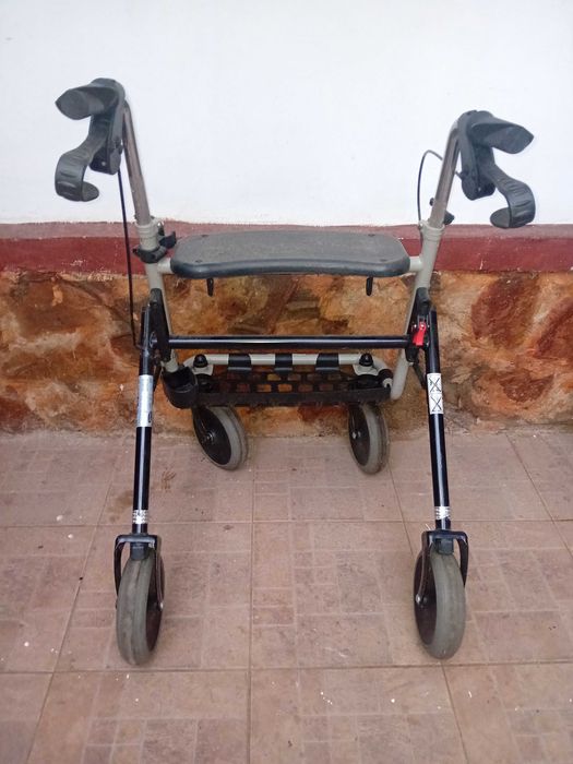 Cadru de mers pe roti gri 1