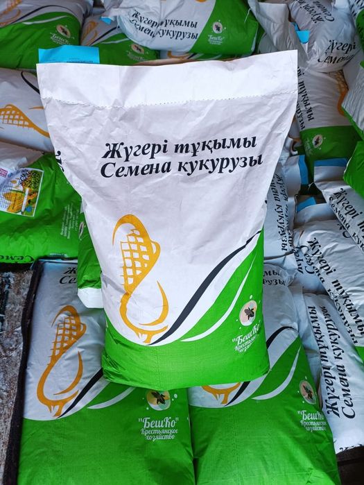 Семена кукурузы, жүгері тұқымы, жугери тукым