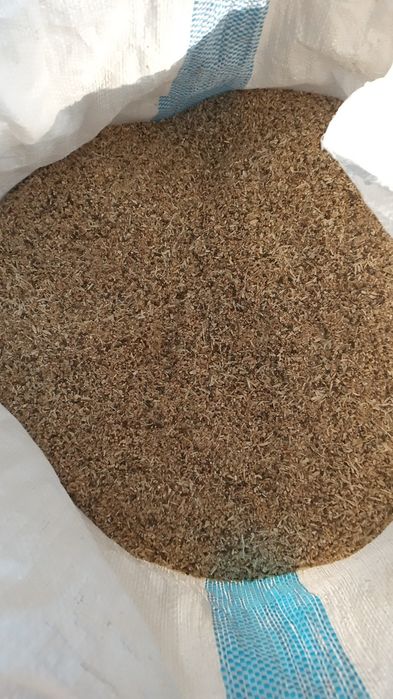 Sechka tozasi bugʻdoy maydalangani mikina sulu bugʻdoyli