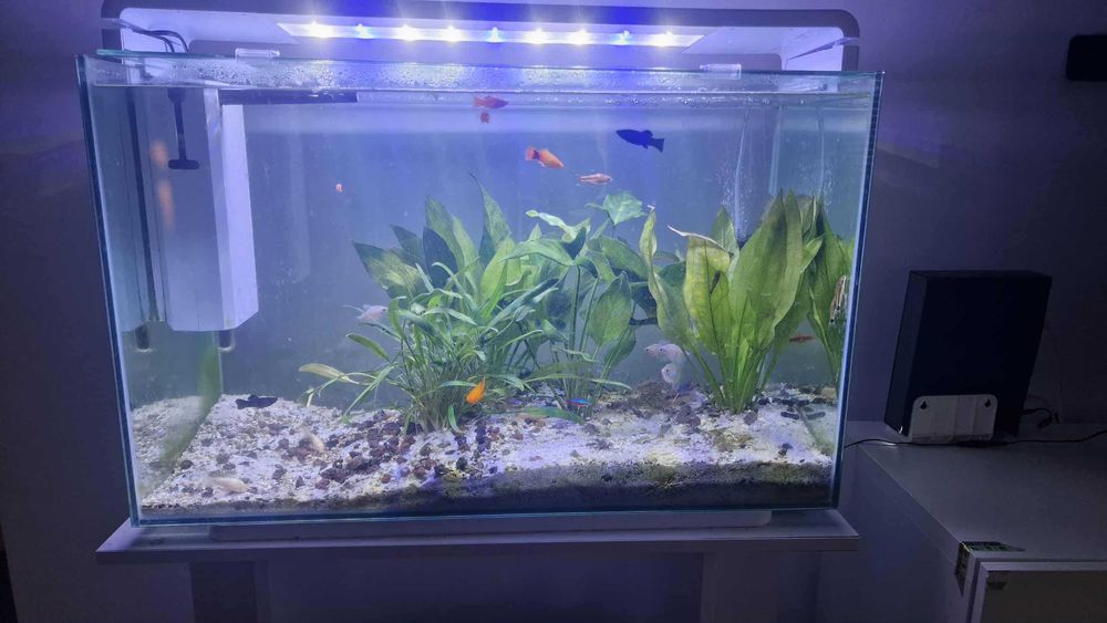 Acvariu Superfish 110, mobila Superfish inclusă