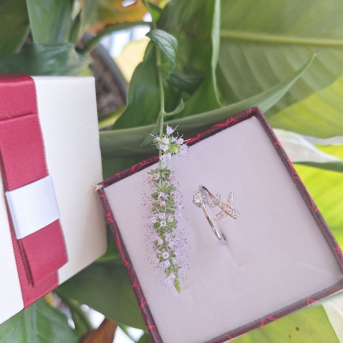 Inel argint, Ceas dama, set bratara si ceas, cadou iubita, mama, sora