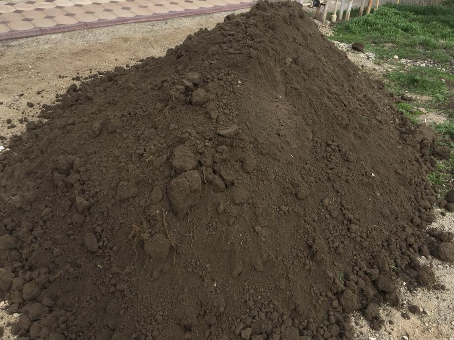 Перегнойчернозем
