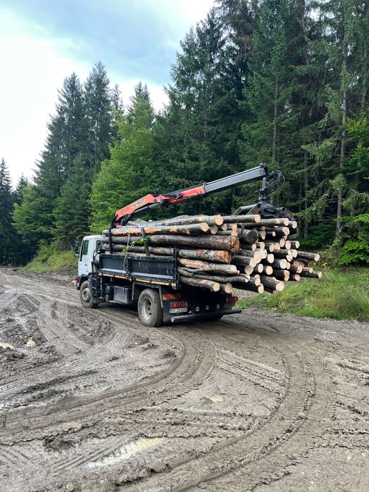 Man 18 tone cu macara forestieră!
