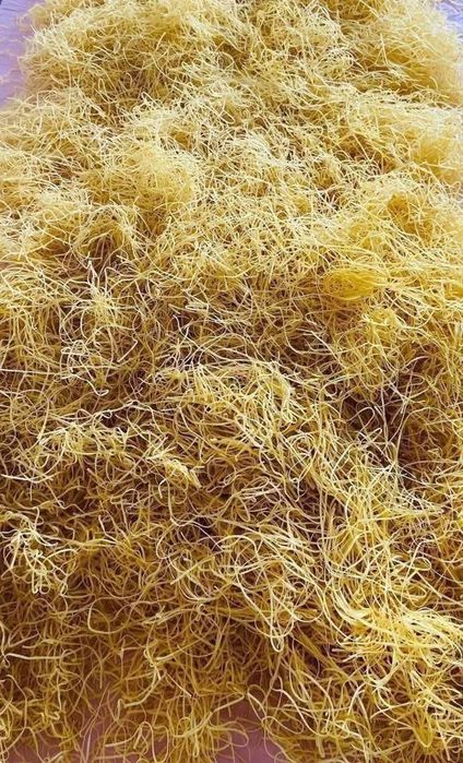 Paste|taitei cu oua de casa