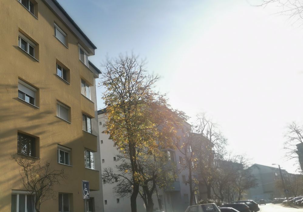 Sofimob Team/2 camere / Tip PB/ Nufarul