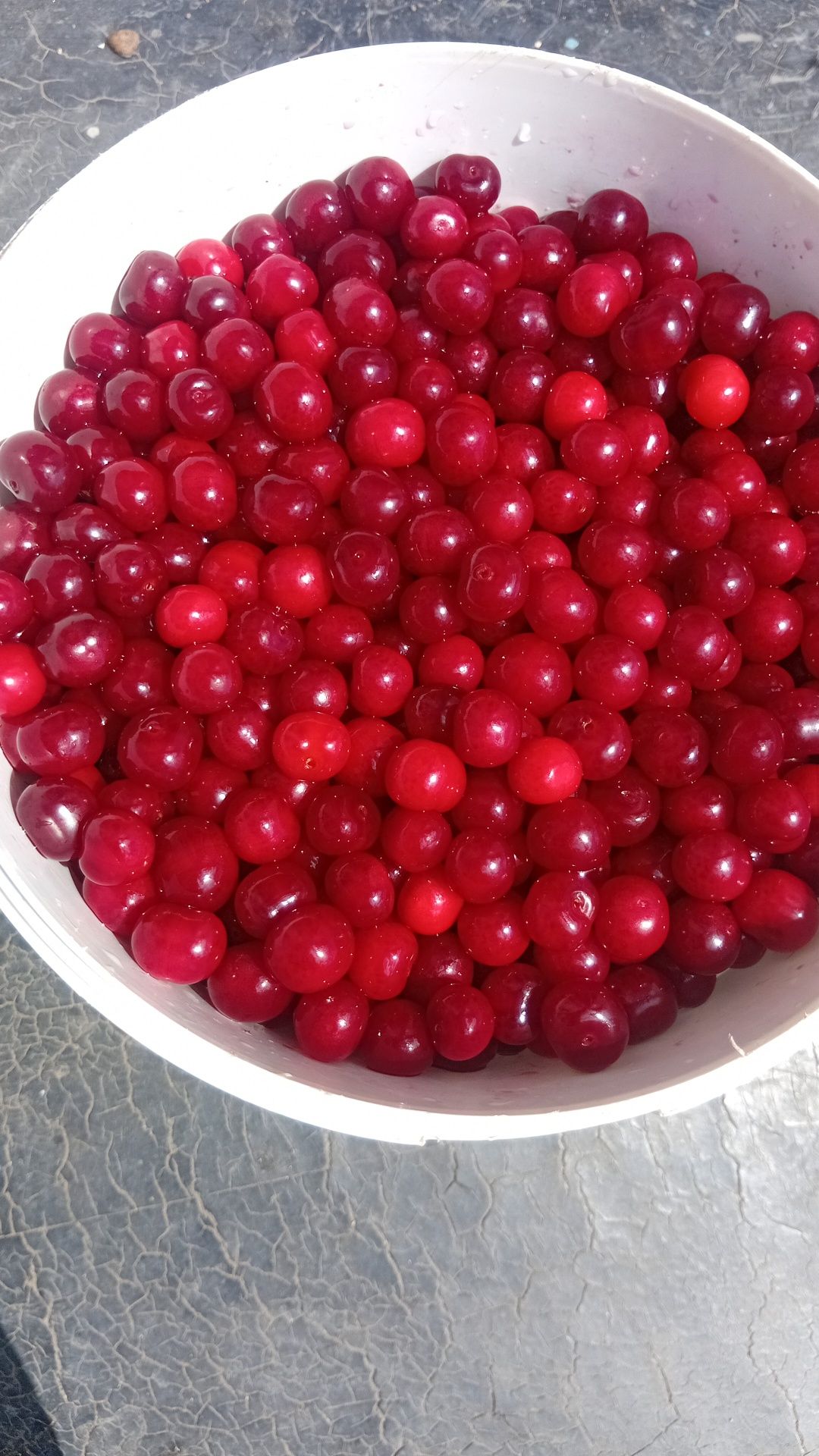 Вишня на продажу