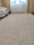 Covor shaggy 200x300