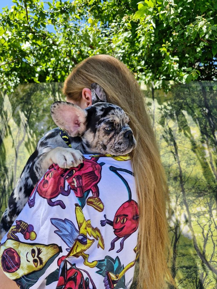 Pet sitter/ Cazare animale