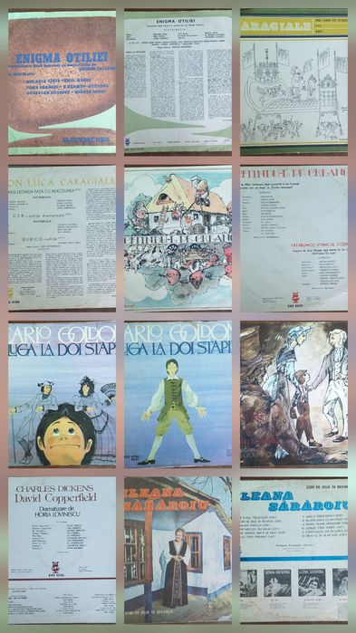 Lot 23 de viniluri Romanesti.