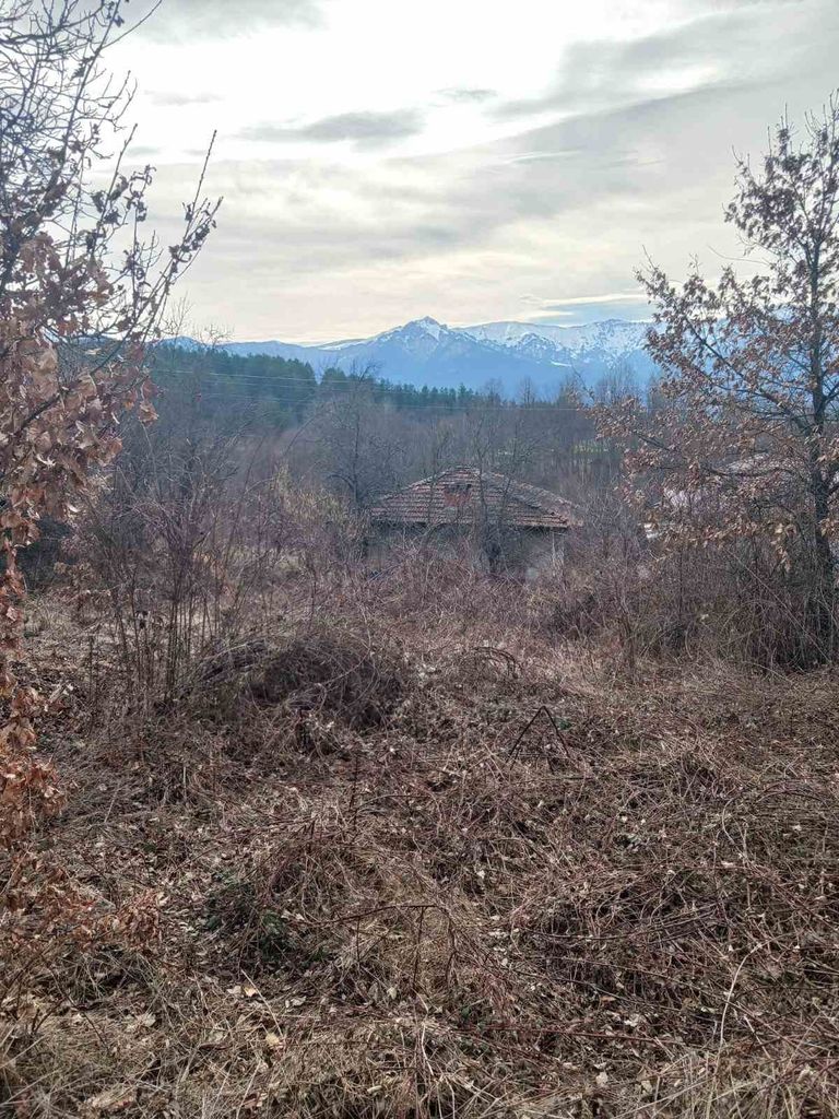 Продава се Парцел в Севлиево - 1000 кв.м за 12 €/кв.м - Снимка #3