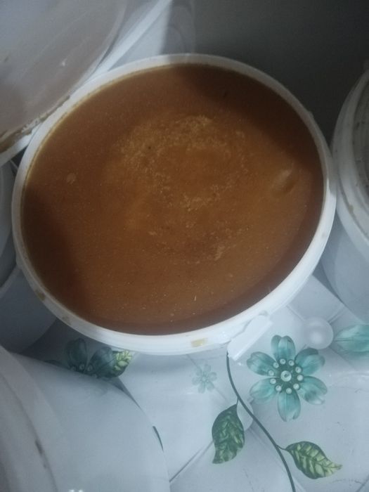 Тоғ Асали Горный Мёд маиский мёд