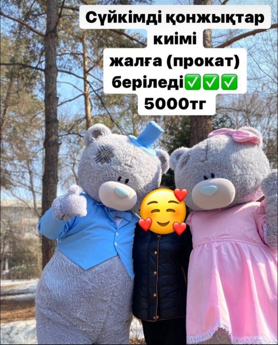 Аренда костюма. Тедди мишки сдается на прокат. Жалға беріледі