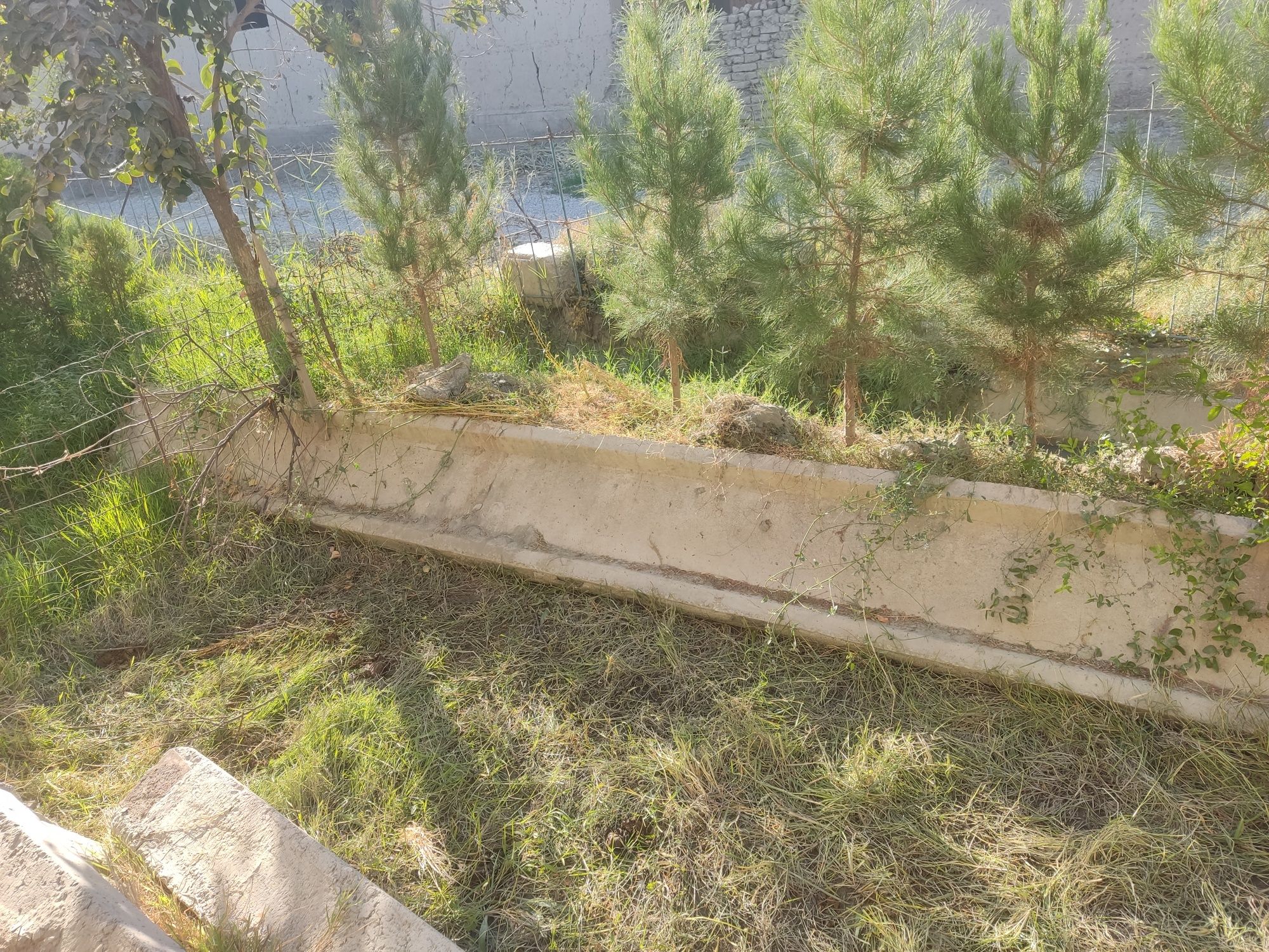Beton plita balka