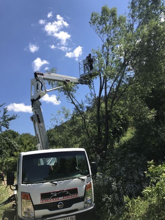 Рязане и кастрене на опасни дървета с автовишка