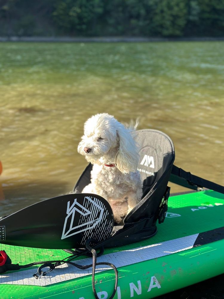 Sup (stand up paddle board) de inchiriat