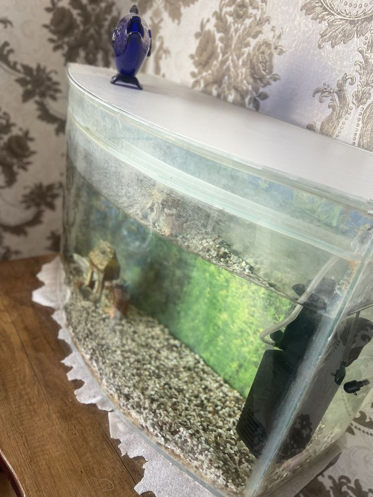 Акvarium 80 litr avalniy kamplekt