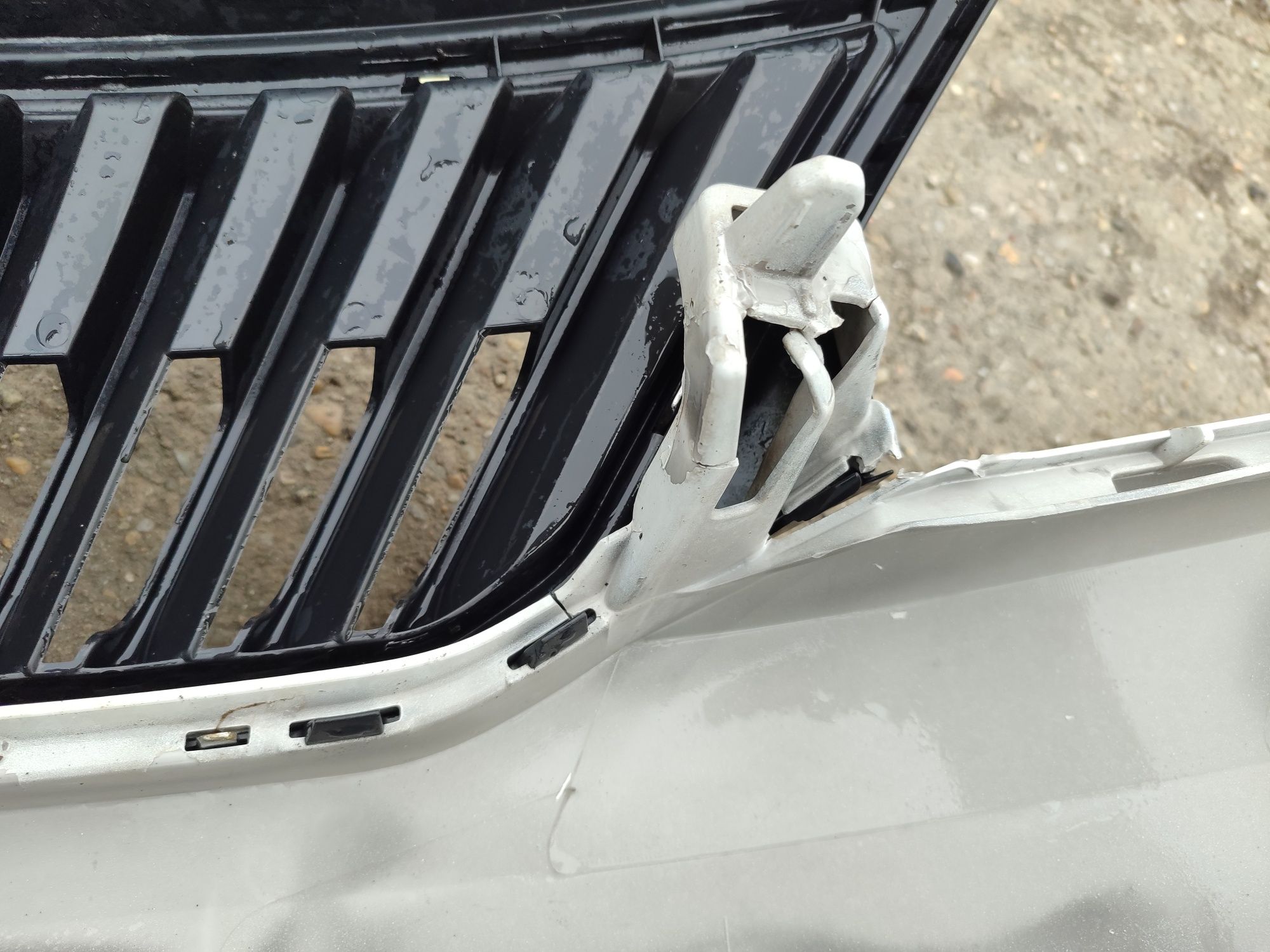 Bara fata Skoda Rapid