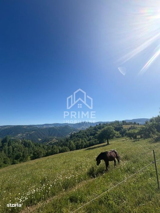 Teren intravilan de vanzare – 11.136 mp | ALBAC | CU POSIBILITATE DE