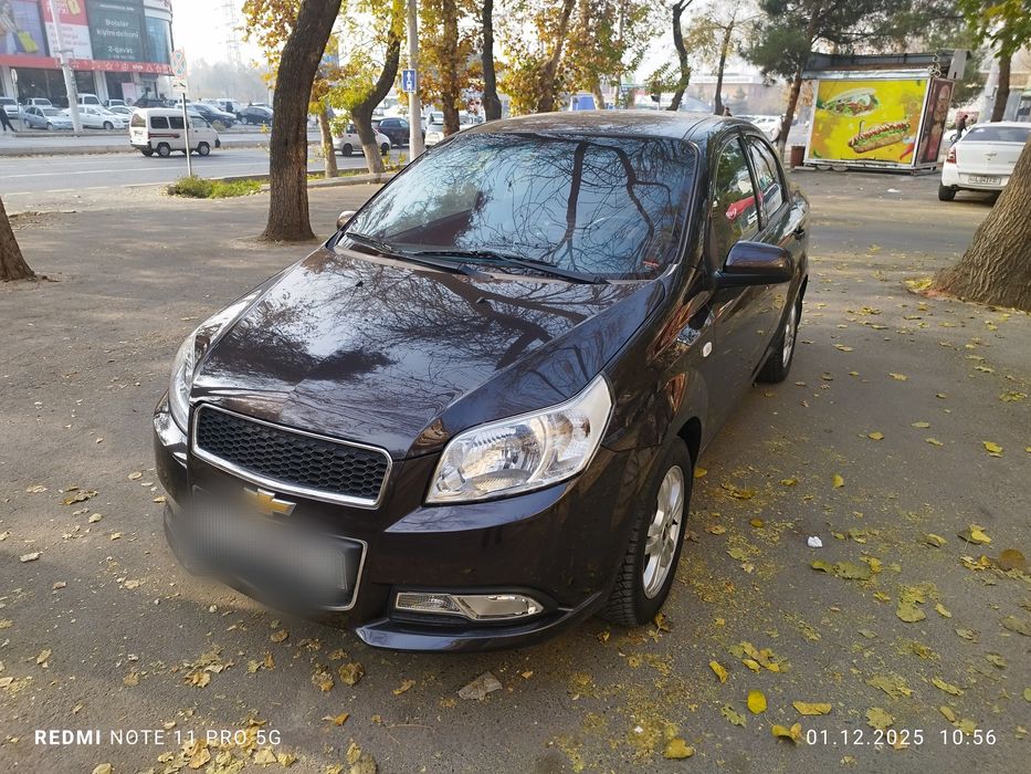 2020 краска тозза пропан газ