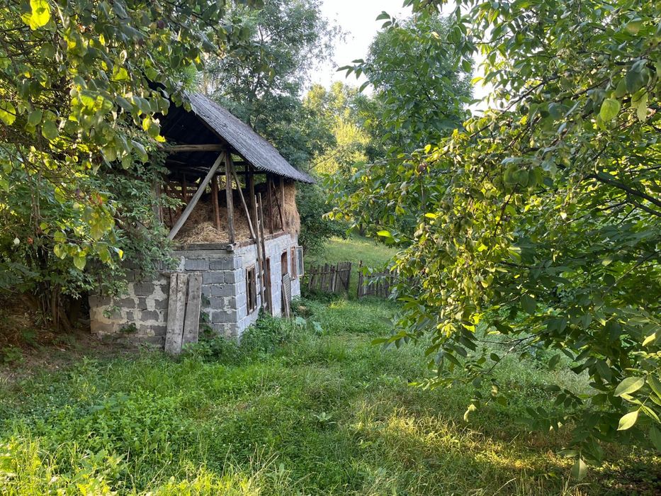 Vand Casa Anexa Teren 3000mp