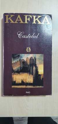 Franz Kafka Procesul Castelul America