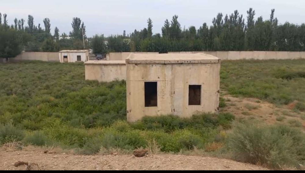 Yer bor 1 gektar Тадбиркорлар бн хамкорлик килинади