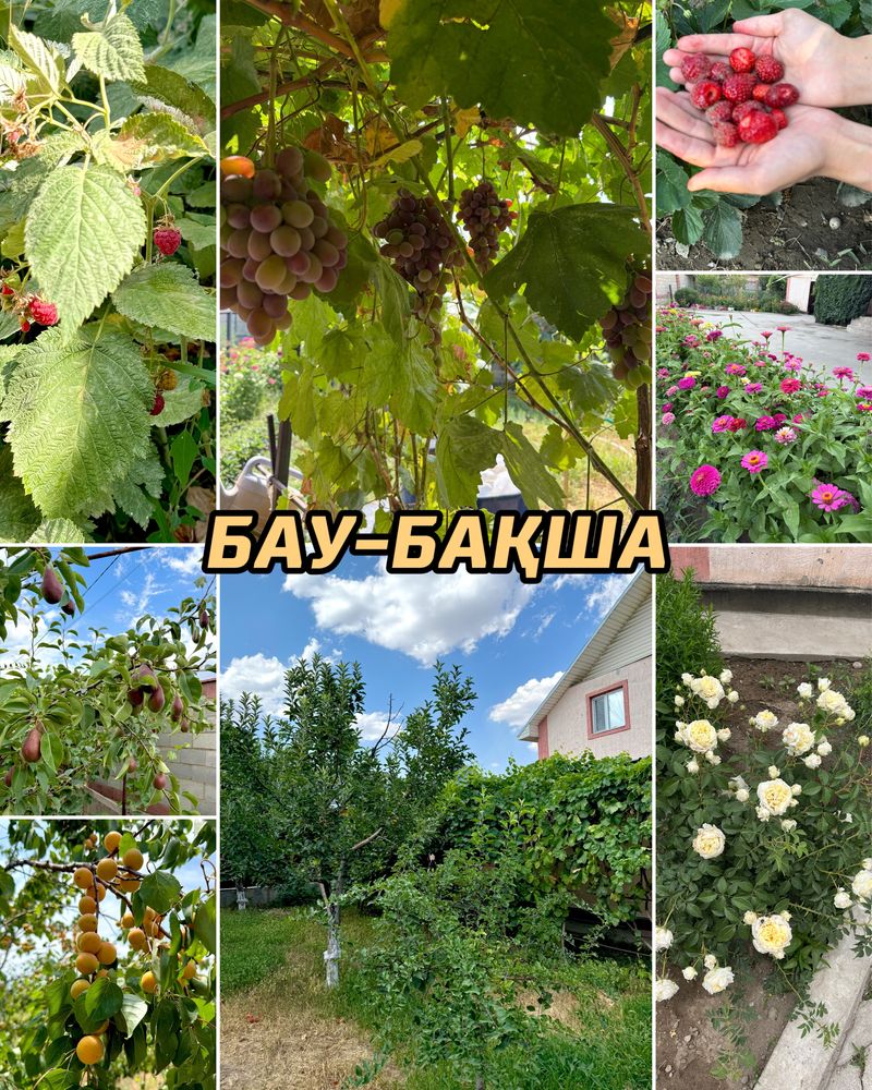 Продам дом срочно