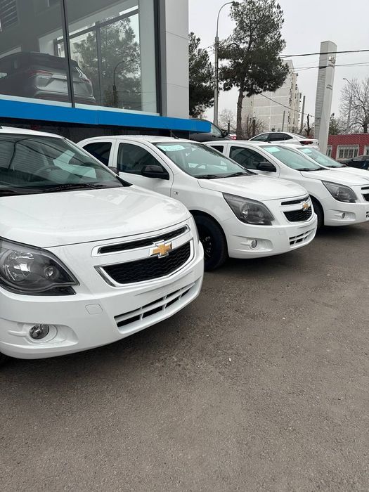 Midnicht Cobalt Bez probek