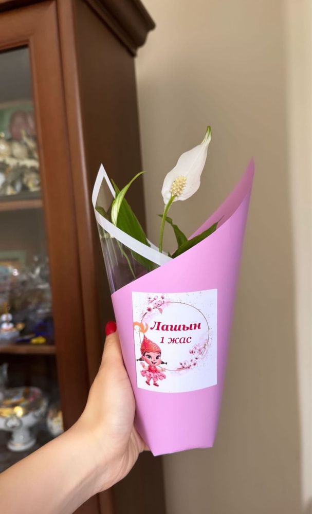 Тойбастар цветы Алматы