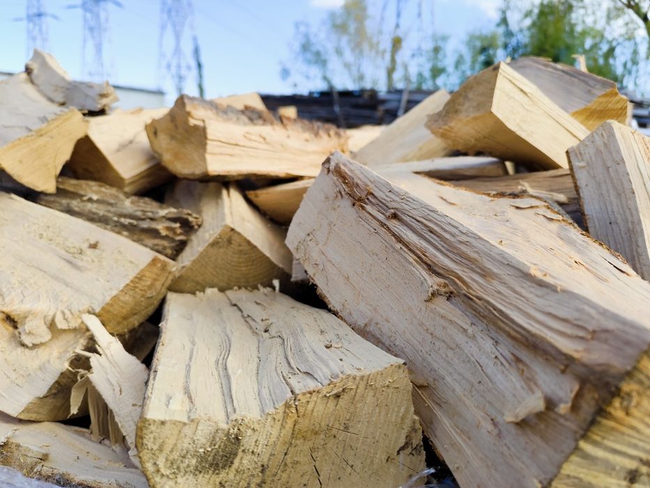 Lemne foc USCATE fag carpen frasin