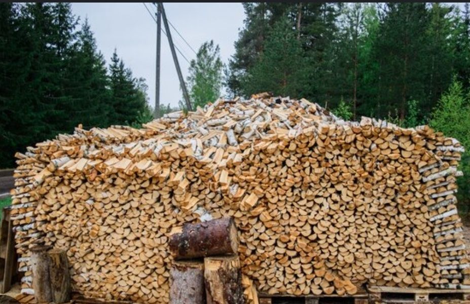Продам дрова любых сортов так же есть в мешках