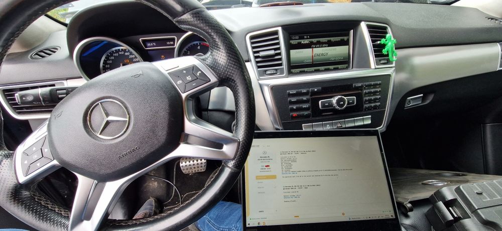 Премахване на Адблу/SCR/Adblue системи! 10+ години Опит !