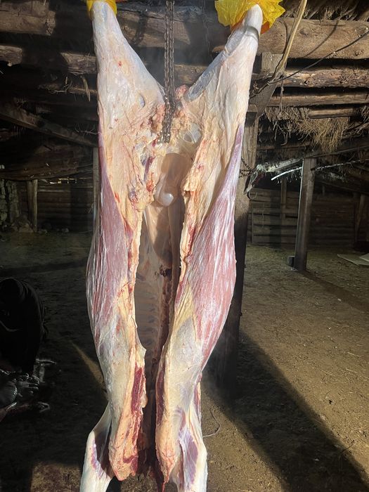 Продам мясо говядина бесплатная доставка до подьезда