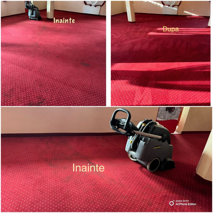 Curățare şi igienizare tapițerii de orice fel