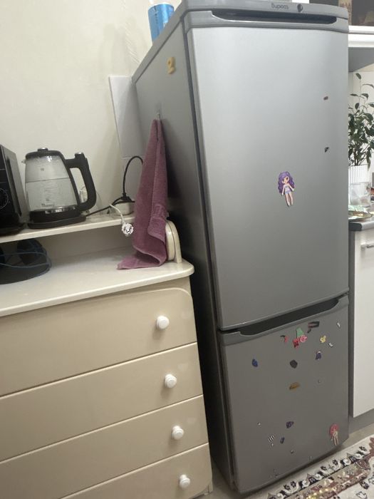 Холодильник Бирюса