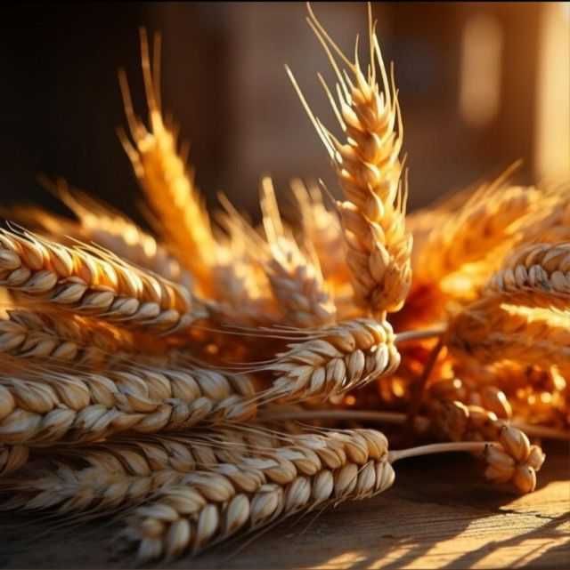 Пшеница 3;4;5 кл. и неклассная .