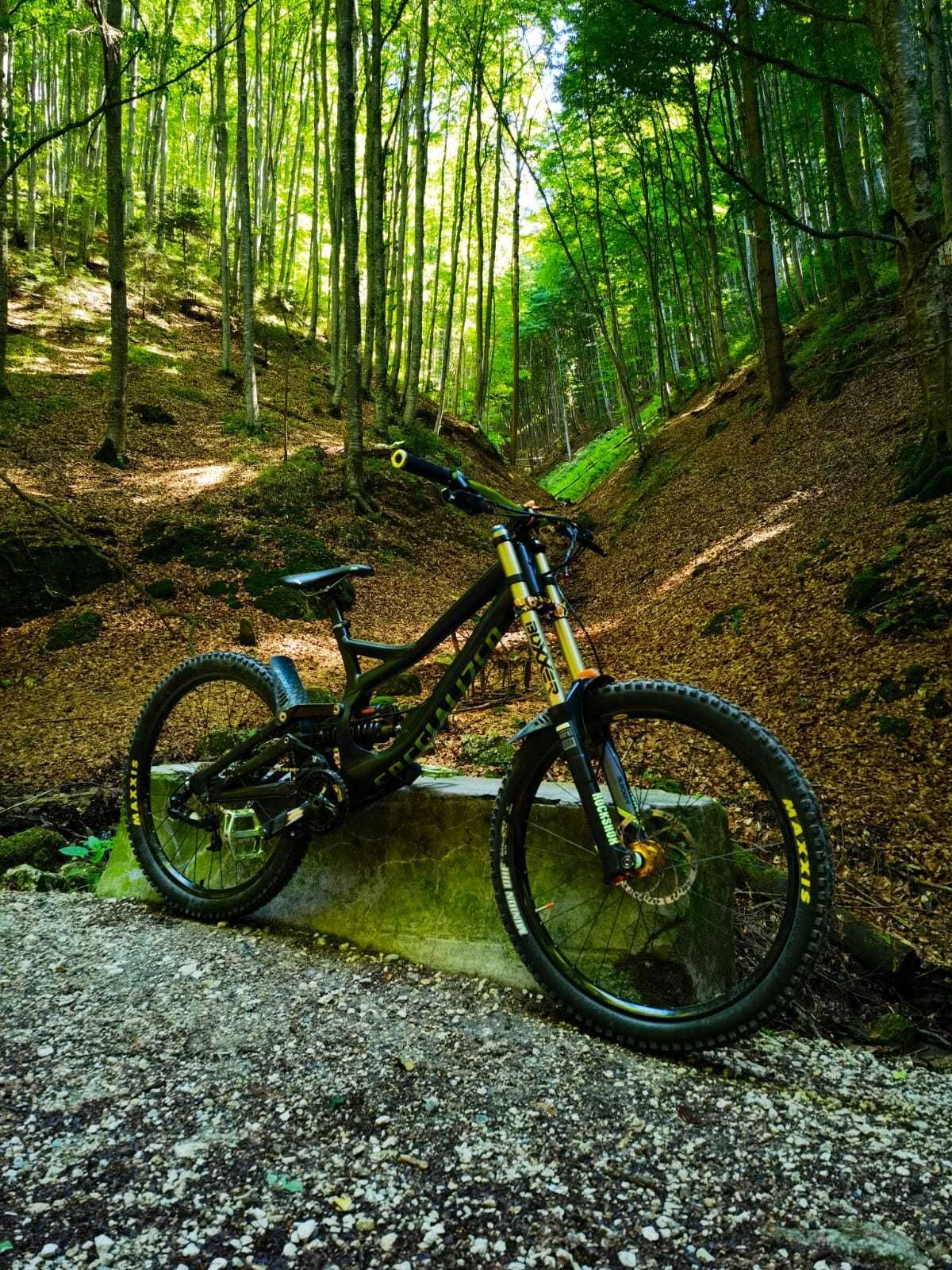 Specialized demo 8