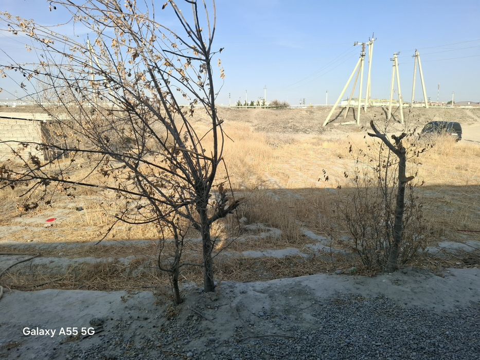 Hamma dakmintlari bor notarusga tayyor.