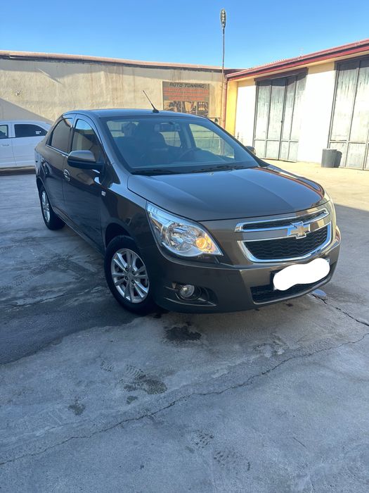 Kobilt zeus rangda toza