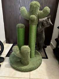 Jucarie pentru pisici tip cactus NOU!