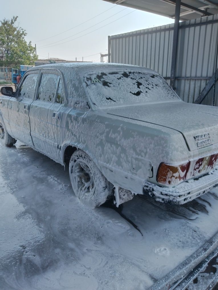 Volga 31029 gaz/benzin