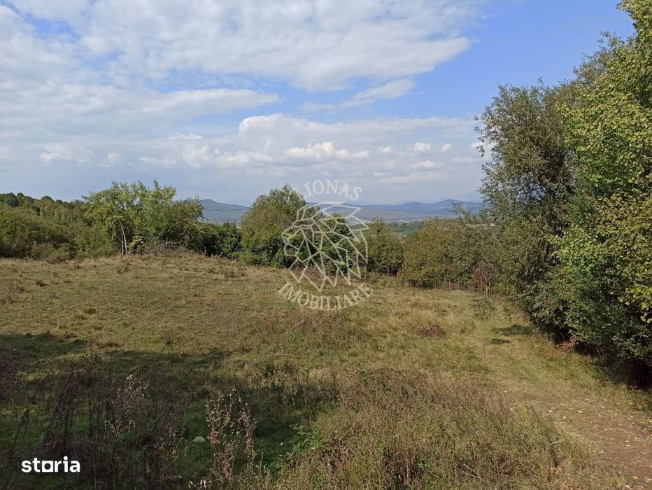 Teren  42,200 mp (4,22 hectare)-Parcelabil-investitie-Valea Jelnei