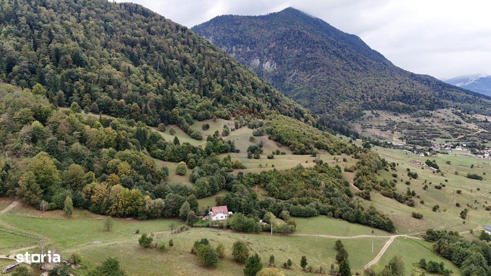 Comision 0% | Teren Intravilan | 4 x Parcele de 592 mp | Zarnesti