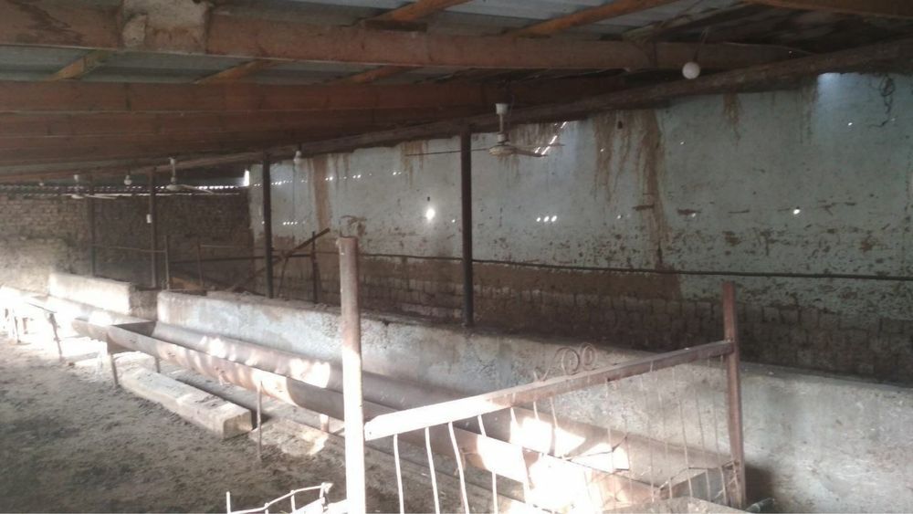 Xovli sotiladi 9 sotix