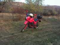 Moto Guzzi NTX35