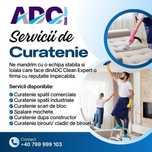 Servicii profesionale de curatenie
