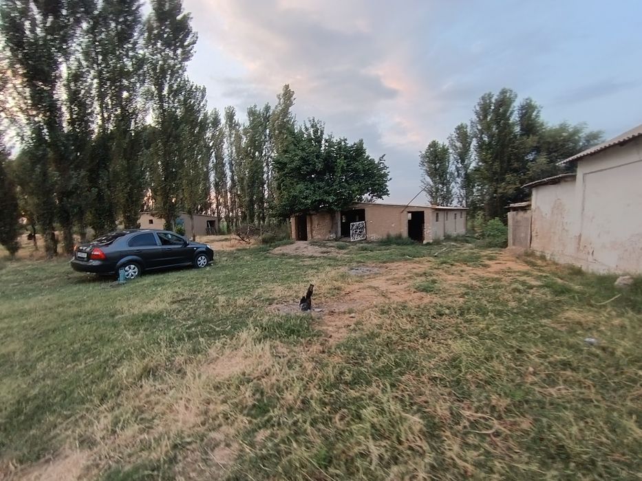 35 sotik dallaxovli sotiladi suv, gaz, svet,  molxonasi bor