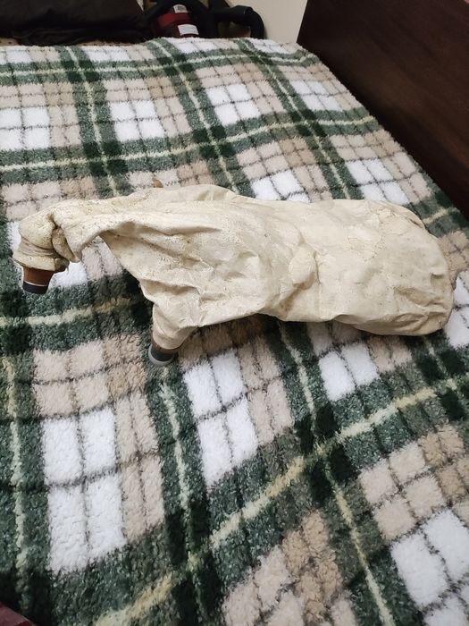 Джура гайда сол гайдуница