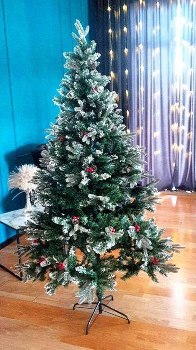 Ёлки акция ёлки доставка бесплатная