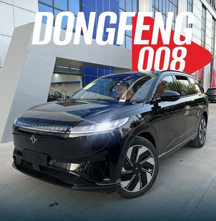 Dongfen 008 gibrid car